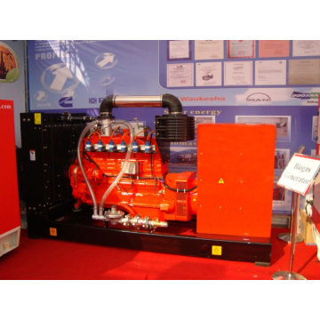 Hot sale in 2015 !!! container NATURAL gas generator 10kw with the latedt price